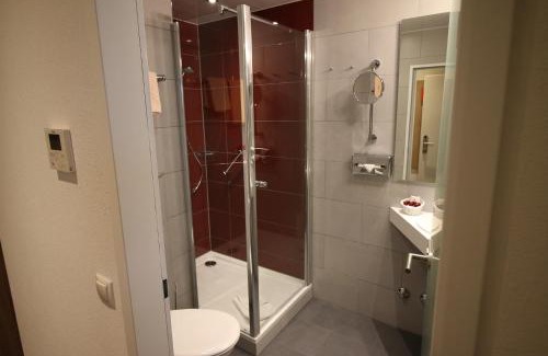 Alt-Godesberg Hotel | Hotel zum Adler - Superior