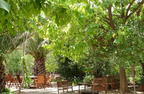 Almansa Villa | House in the country charming