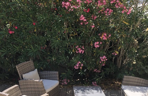 Eyragues House | House in the heart of the village