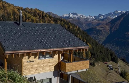 Bettmeralp Apartment | Huwetz 2. OG Süd by Interhome