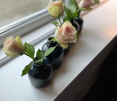 Roager Apartment | Hyggeligt lille anneks tæt på Ribe