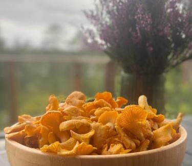 Aremark House | Hytte i Aremark til leie