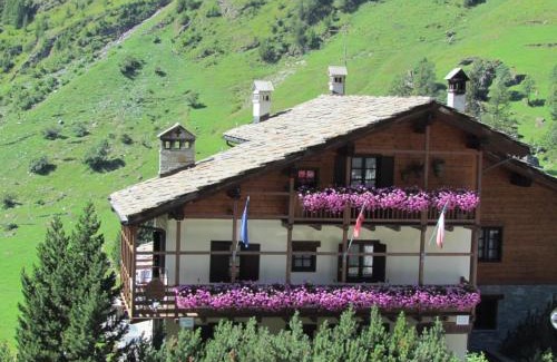 Gressoney-la-Trinite Apartment | Il Piccolo Residence