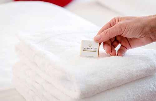 City Centre Salzburg Hotel | IMLAUER Hotel Pitter Salzburg