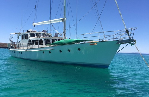 La Paz Boat Rental | Incredible excursions & tours to the islands Islas Espíritu Santo & Balandra Bay
