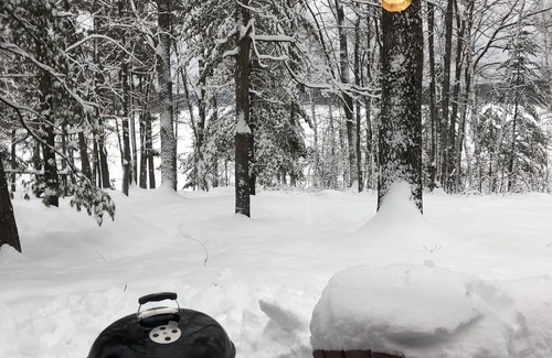 Iron River Cabin | Iron River, WI. Deer Trail Cabin #2 Lake Delta