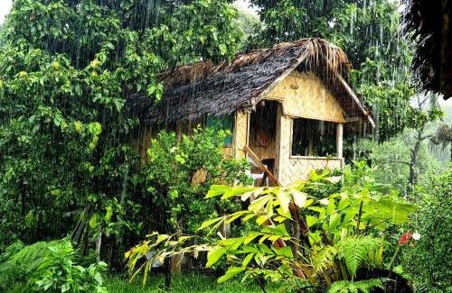 Tanna Island Bed & Breakfast | island paradise bungalows