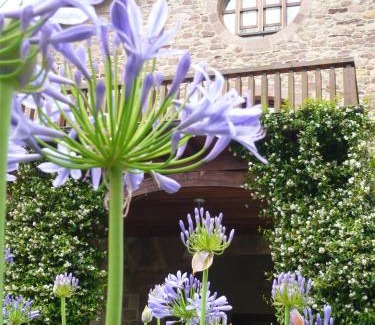 Carrejo Hotel | Jardin de Carrejo