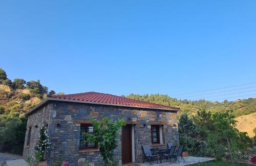 Nikita House | JIRONI VILLA