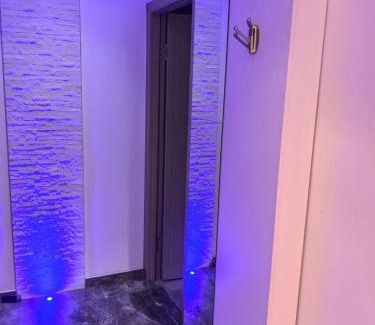 Dorcol Apartment | Kalemegdan park & Zoo - City center