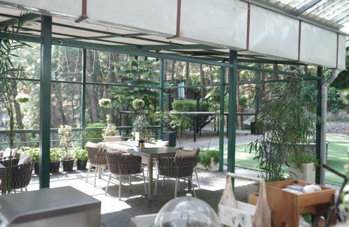 Kasauli Resort | Kasauli Hills Resort