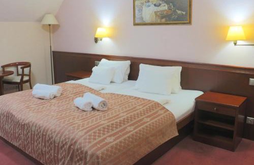 Cheb Hotel | Komorni Hurka