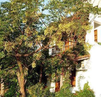 Marathokampos Apartment | Korali