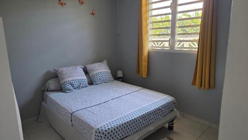 Remire Montjoly Apartment | L'orchidée de kinabalu