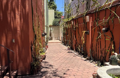 Ruta Independencia House | La Casa del Árbol - Oaxaca Historic Center