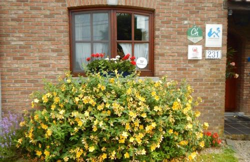 Cuesmes House | La Chrysalide