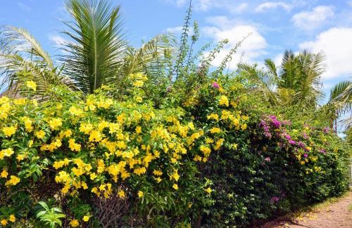 Trou d'Eau Douce Bed & Breakfast | La Maison Soleil