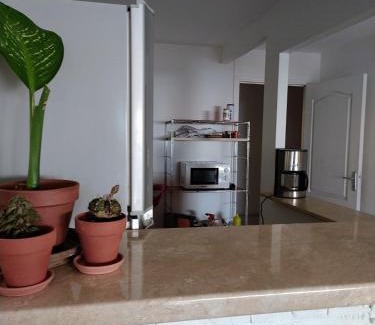 Sainte Marie Apartment | La maison zen