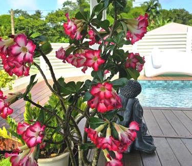 Saint-Joseph Villa | La Villa Adam - Pool - Spa