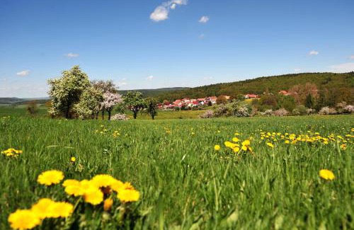 Bernshausen Hotel | Landhotel Zur Grünen Kutte