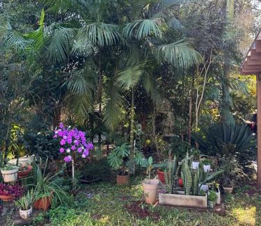 Zona Granja Apartment | Lapacho 2