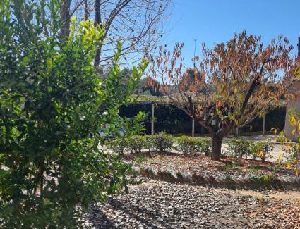 Maseru Apartment | Lee's Guest Place
