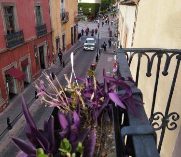 Downtown Queretaro Apartment | Lele Panchito y Lavanda Juntos en el Centro