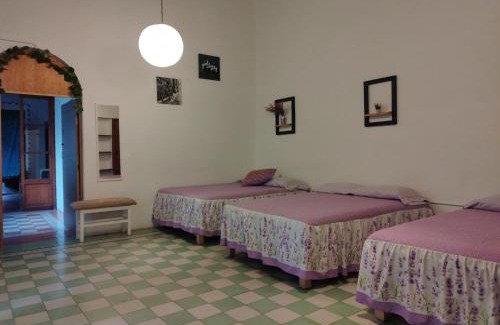Downtown Queretaro Apartment | Lele Panchito y Lavanda Juntos en el Centro