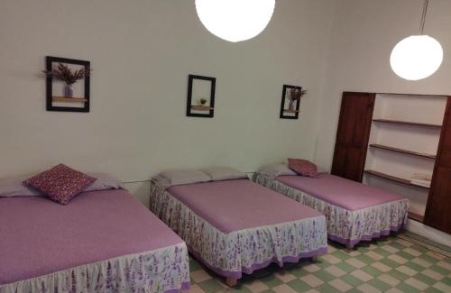 Downtown Queretaro Apartment | Lele Panchito y Lavanda Juntos en el Centro