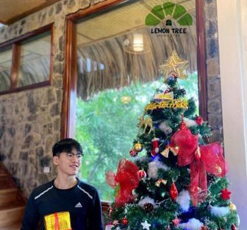 Hoa Lu House | Lemon Tree Homestay Tam Coc