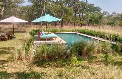 Lusaka House | Leopards Hill, Lusaka family home in beautiful nature