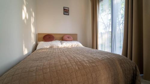 Elk House | Lepaki Lake