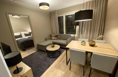Sirkka Apartment | Levin Kunkku C 2