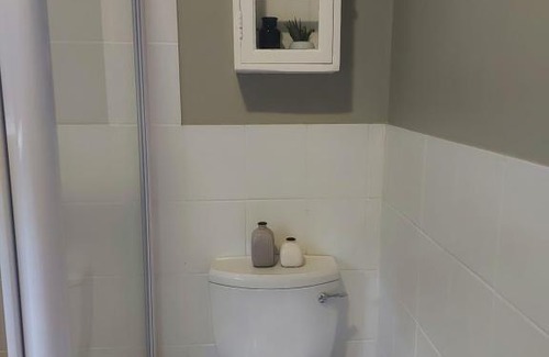 White River Apartment | Lionshead Cottage