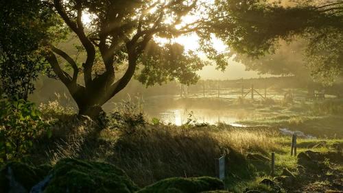 Rhydlydan Bed & Breakfast | Llwyn Onn Guest House, North Wales