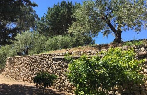 Aubagne House | Logement Provence dans domaine oléicole