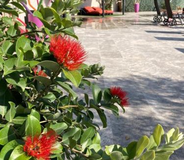 Caissargues Hotel | Logis Hôtel Restaurant Les Aubuns