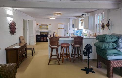 Springfield House | Lorraine Cattlewash B-Downstairs