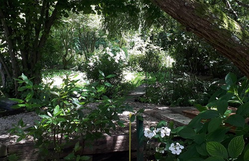 Odos Apartment | Lovely T3 in the greenery with terrace and pkg, 5 minutes from Tarbes center