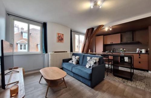 Besancon Old Town Apartment | Lumineux T2 50 m2 - hypercentre Besançon