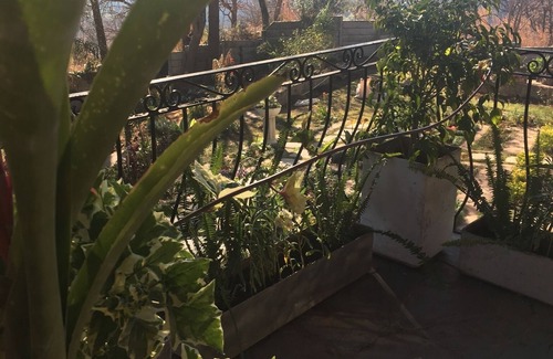Harare House | Luxury 4 bed Hilltop Glen Lorne home