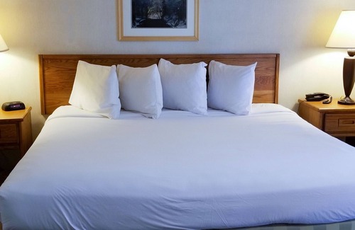 East Ely Hotel | Magnuson Hotel Ely