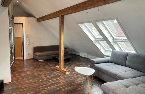 Sinsheim Apartment | Maisonette Apartment Family & Business nähe Heidelberg I Küche I 6 Schlafplätze