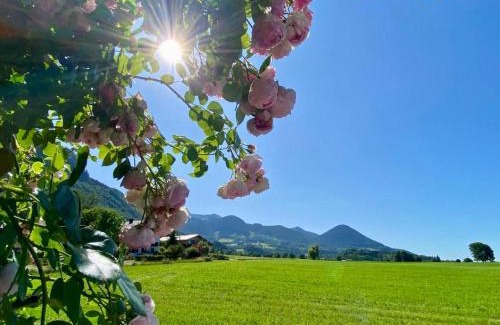 Flintsbach A. Inn House | Maiwand