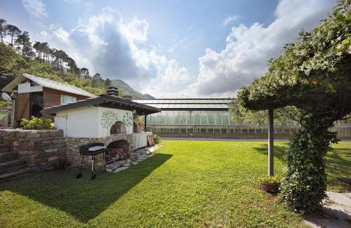 Ortovero Apartment | Mansarda Albero Verde con Piscina