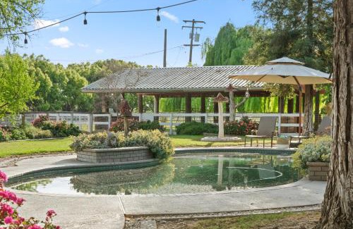 Modesto House | @ Marbella Lane - Alpaca Farm House Pool