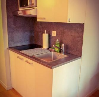 Niederdorf Apartment | Margaritli Old town Zürich