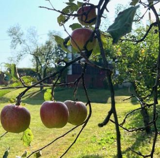 Rogaska Slatina House | Maria's Orchard Cottage - Nature Retreat in Slovenia