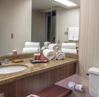 Guarulhos Hotel | Marriott São Paulo Airport Hotel