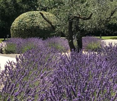 Gordes Hotel | Mas De La Senancole
